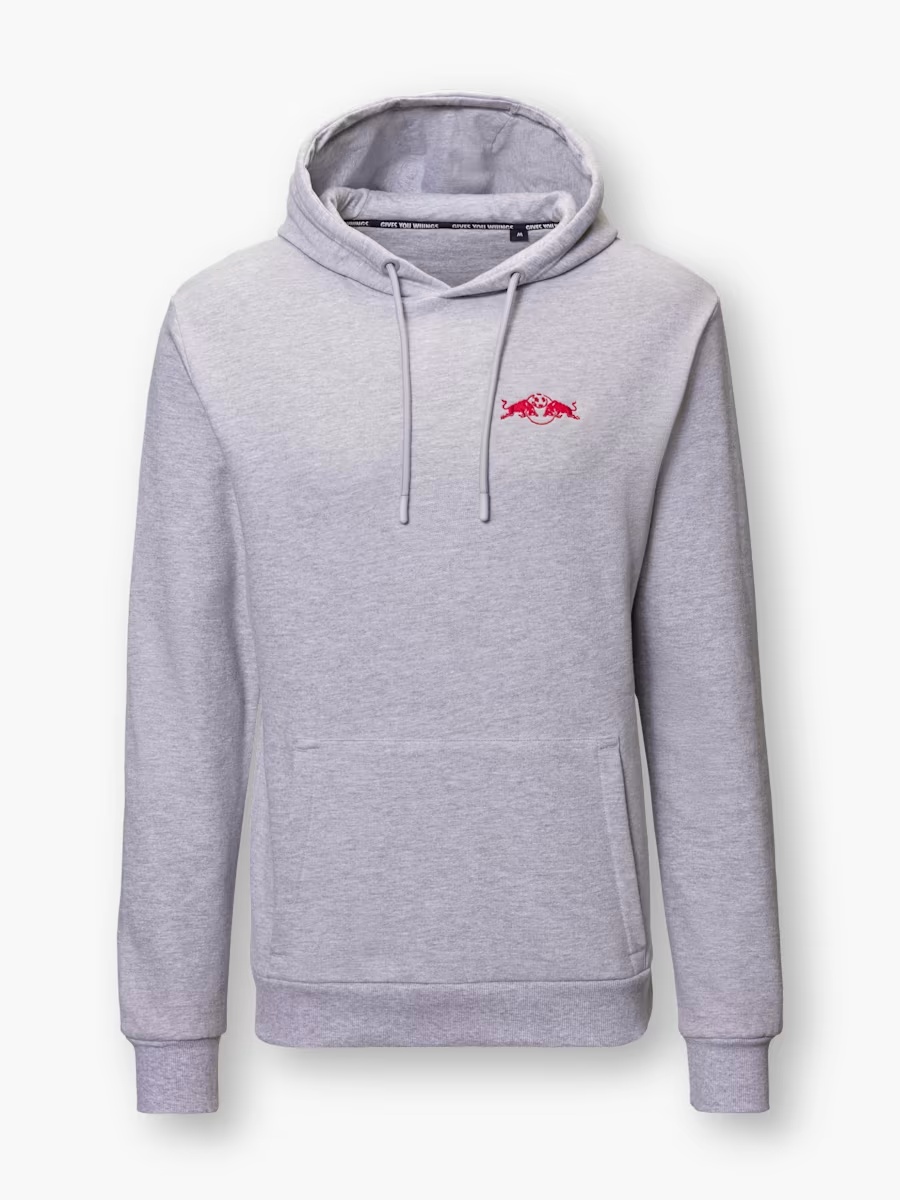 RBS Origin Hoodie Grau-XS