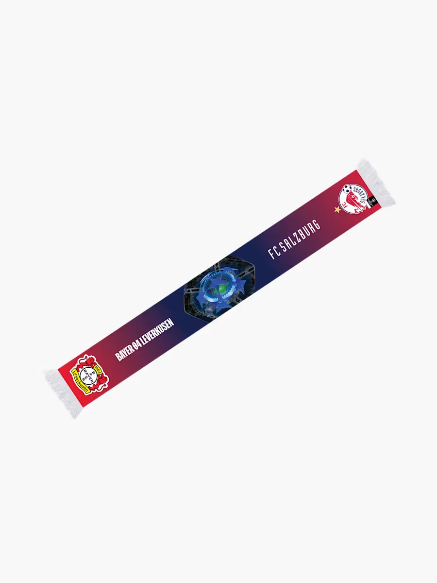 CL Leverkusen Schal 24/25
