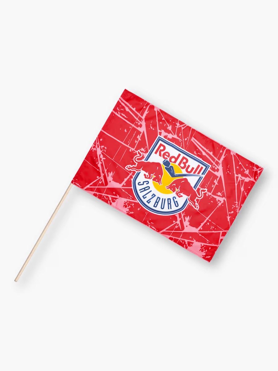 130-ecs-flagge-1.jpg