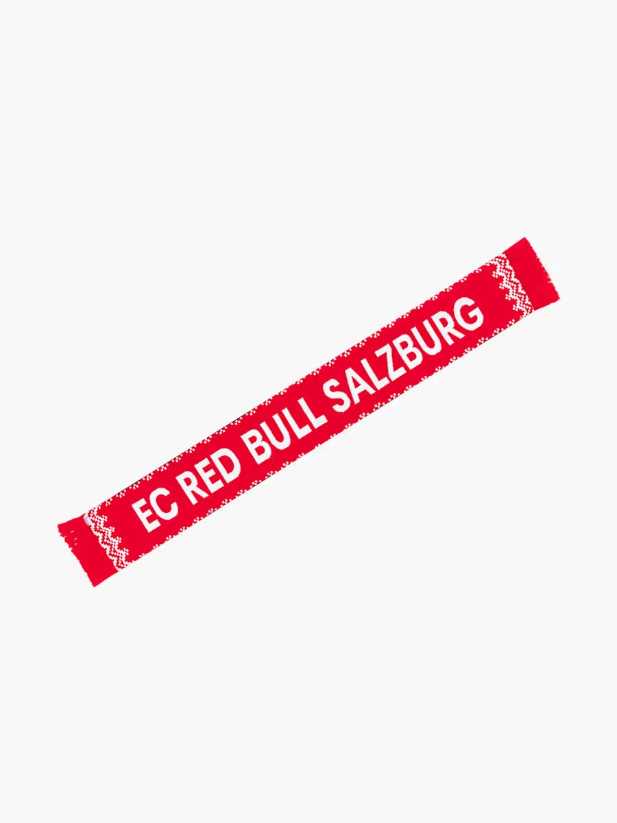 ECS Winter Schal
