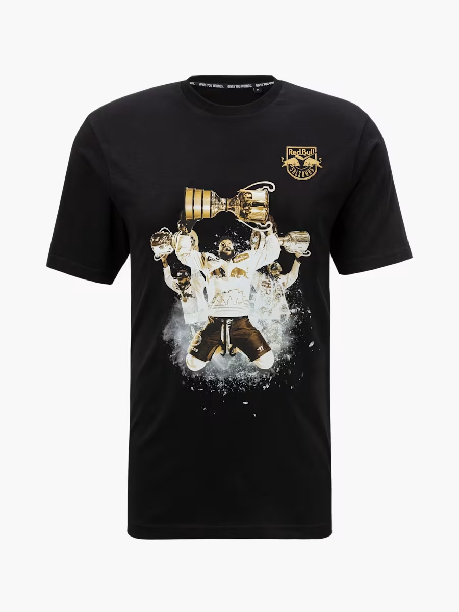 Meister T-Shirt 23/24-L