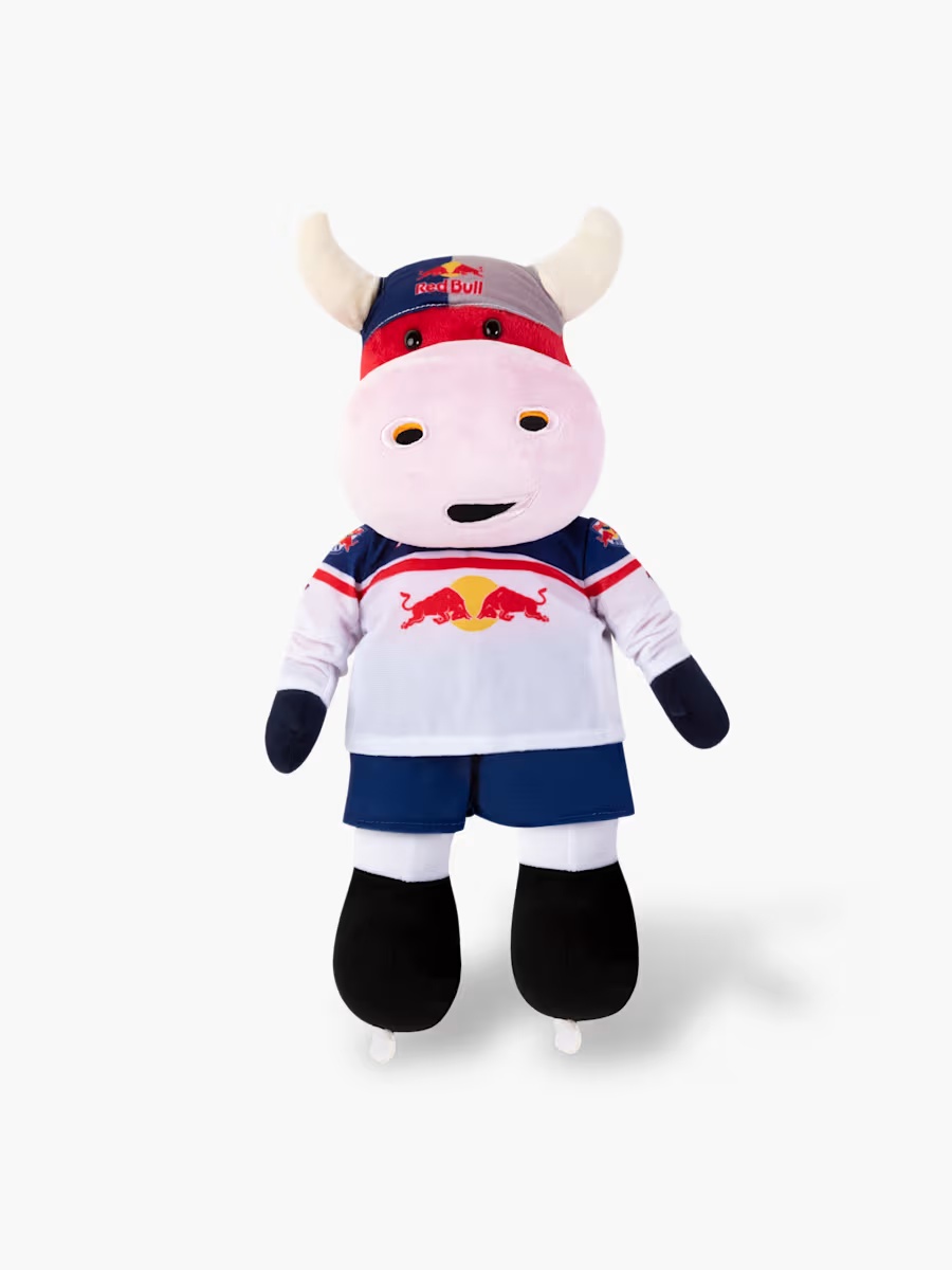 RBM Maskottchen Mike