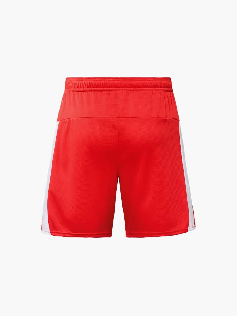 RBL PUMA Heimshorts 25/26-116