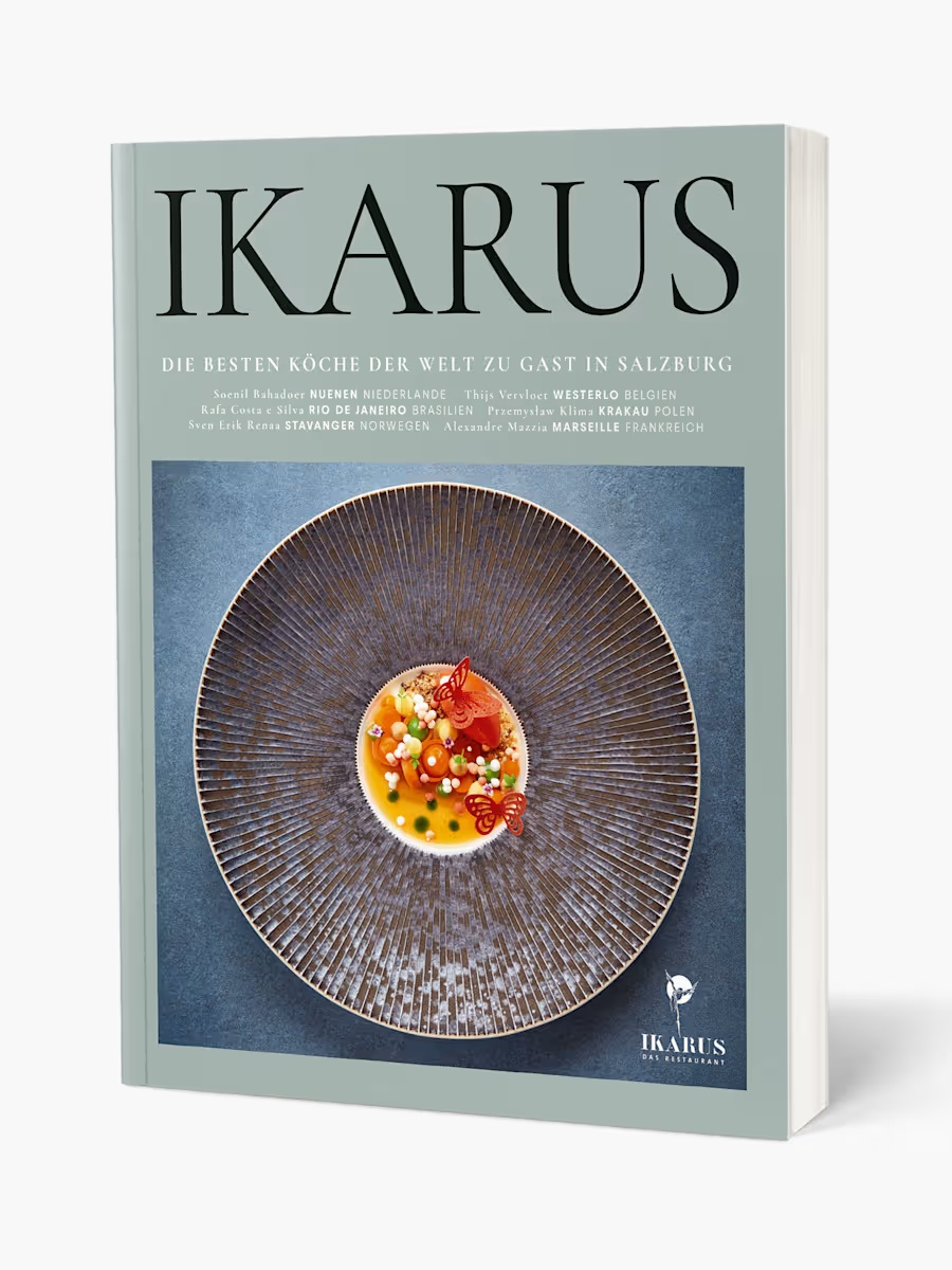 Ikarus DE