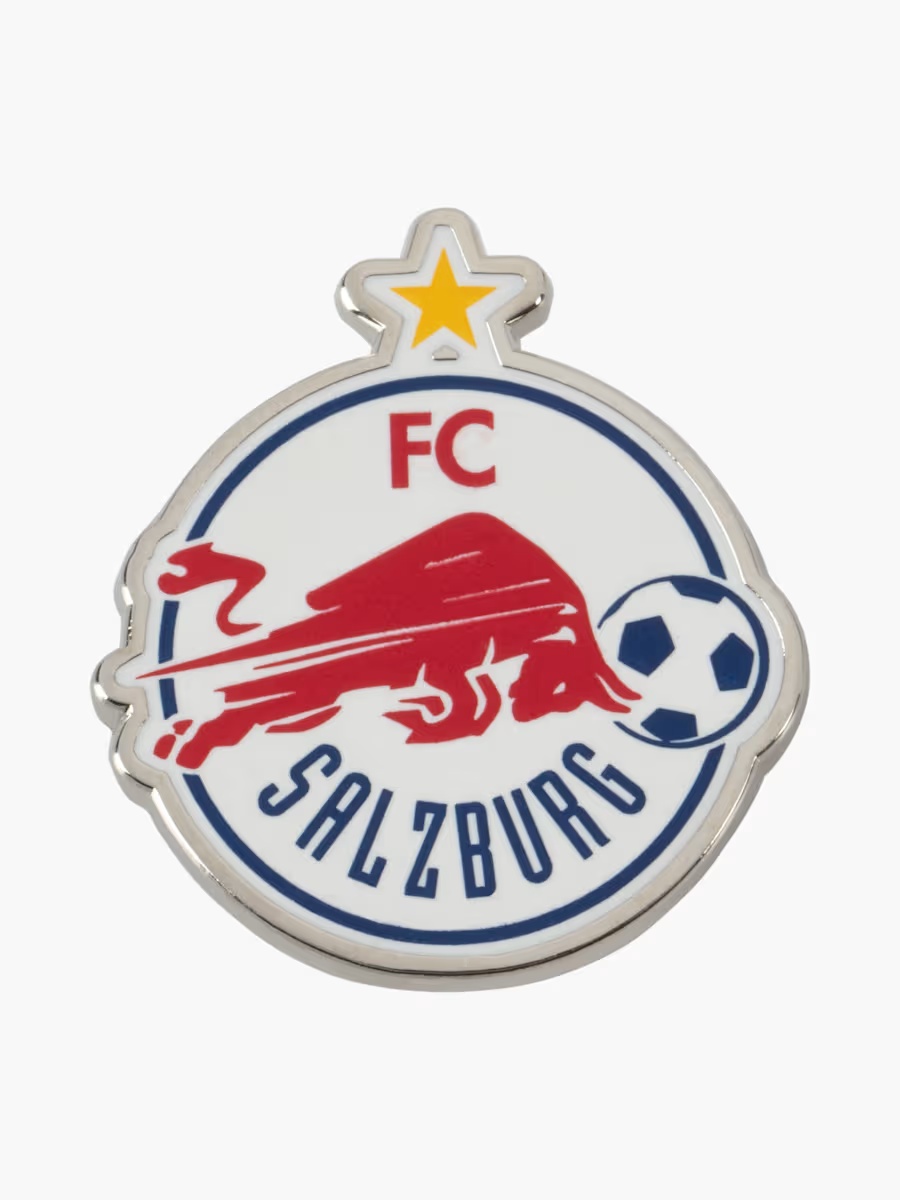 RBS Internationales Logo Pin
