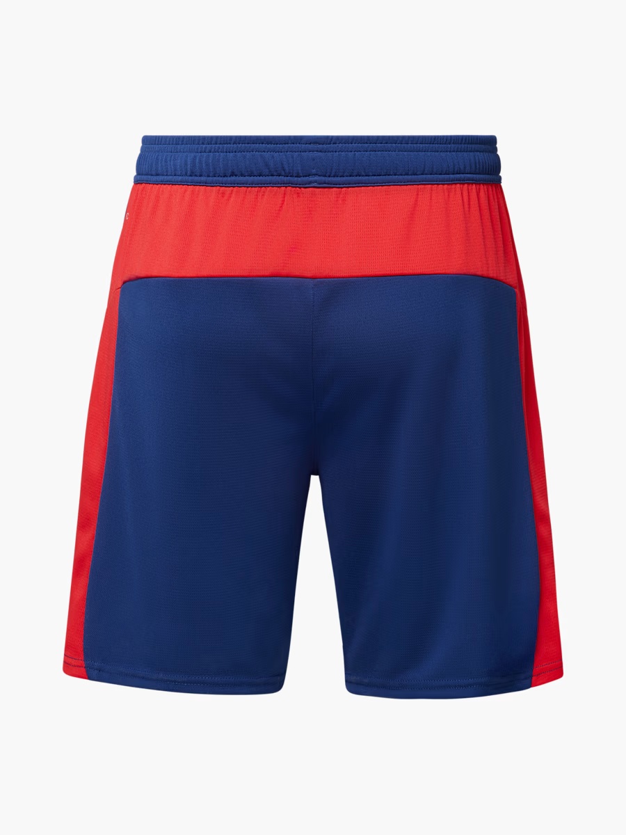 791-rbl-puma-ausw-rtsshorts-25-26-s-1.jpg